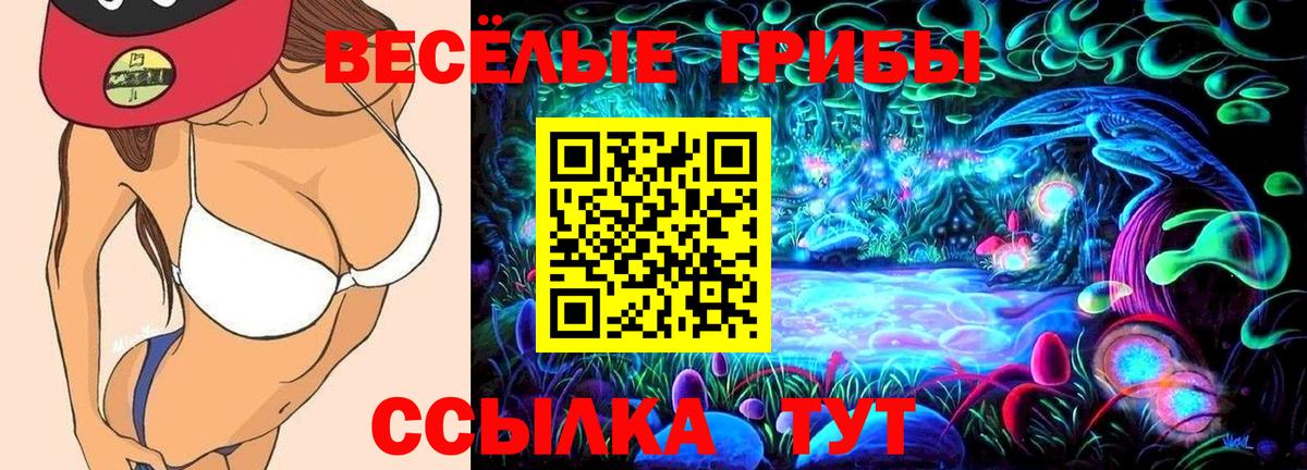 Галлюциногенные грибы Cubensis Ейск
